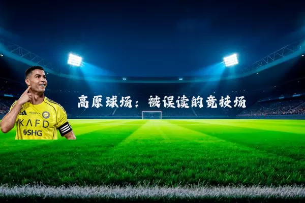 高原球场:被误读的竞技场